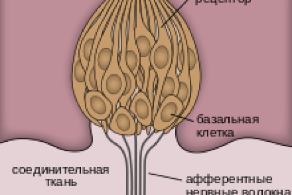 Кракен портал