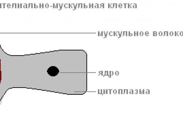 Кракен вход krakens13 at